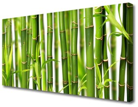 Vászonkép Bambuszrügy bambusz levelek 125x50 cm