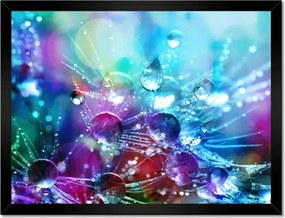 Poszterek keretben 40x30 Pitypang pitypang