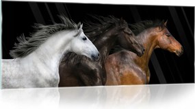 Üvegfestmény modern lovak 3D 125x50