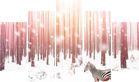 Kép - Zebra egy havas erdőben (150x105 cm)