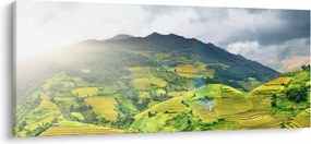 Ültetvények képe (120x50 cm)