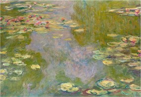 Fotótapéta Dekoratív Fali Tapéta Képek Vízi liliomok 152x104