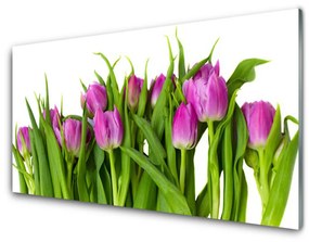 Üvegkép falra Tulipán virágok Plant 140x70 cm