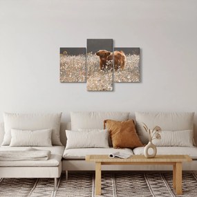 Kép - Skót tehén a virágban (90x60 cm)