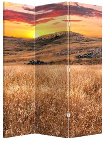 Paraván - Mező (126x170 cm)