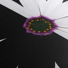 Egy fekete-fehér virág képe (órával) (90x30 cm)