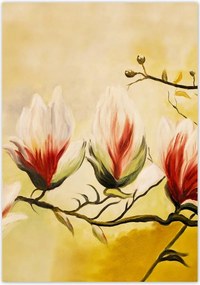 Poszterek 70x100 Magnólia