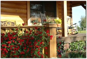 Poszterek 155x105 Fa veranda