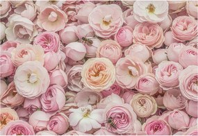 Flizelin tapéta Flizelin Fali Prémium Gyönyörű virágok 152x104 Ragasztó