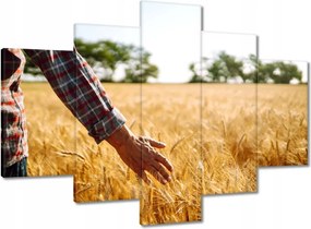 Képek 150x105 Séta a gazda a gabonában