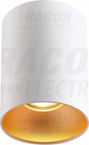 Mennyezeti lámpatest cső, fehér, arany fényvisszaverővel