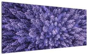 Havas fák képe (120x50 cm)