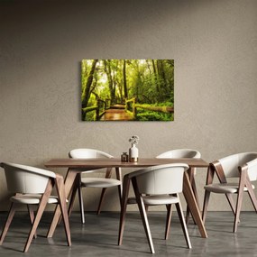 Mohás dzsungel képe (90x60 cm)