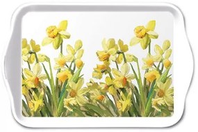 Tavaszi nárcisz virágos műanyag kis tálca Golden Daffodils 13x21cm