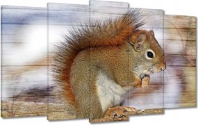 Festmények 100x60 Mókus