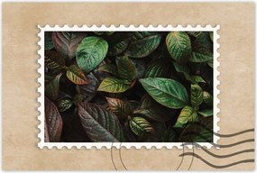 Poszterek 120x80 Trópusi levelek Levelek