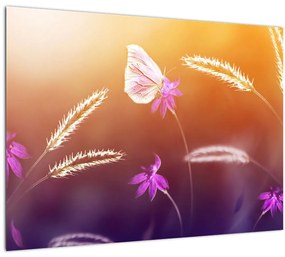 Kép - Rózsaszín pillangó (üvegen) (70x50 cm)