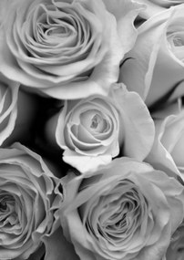 Poszter 29,7x42cm Közelkép rózsafüzérhez, Assaf Frank