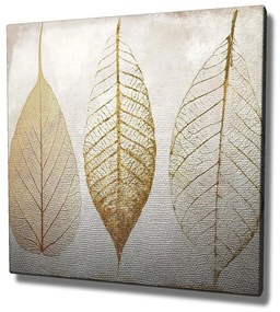 Vászon falikép, levelek, 45x45 cm, krémszínű - FEUILLES