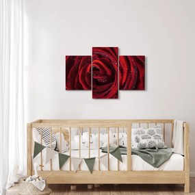 Kép - Vörös rózsa harmatcseppekkel (90x60 cm)