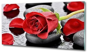 Egyedi üvegkép Vörös rózsa osh-69893127