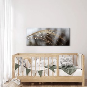 Cseppkép egy növényen (120x50 cm)