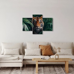 Kép - Egy tigris portréja a dzsungelben (90x60 cm)