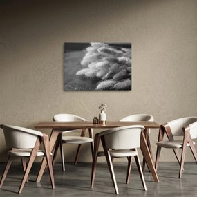 Üveg kép - nyúlfarknyi fű az asztalon (70x50 cm)