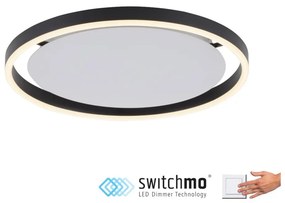 ZUMA LINE 15391-13 RITUS Kerek Mennyezeti Lámpa Antracit LED IP20