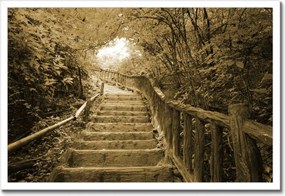 Poszter keretben 60x40 Lépcsők szépia színben