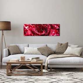 Vörös rózsa virágzata képe (órával) (90x30 cm)