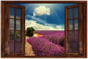 Poszterek 90x60 Levendula tájkép