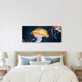 Medúza képe (120x50 cm)