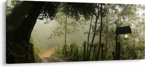 Reggeli köd képe (120x50 cm)