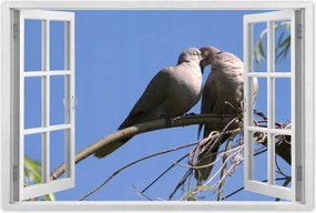 Poszterek 60x40 Szerelem Érzés Párkapcsolat