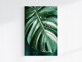 Poszter TermĂ©szet Monster LevĂ©l Filodendron VĂz Harmat 40x60