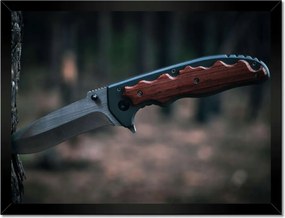 Poszterek keretben 40x30 Fa kéregbe szúrt kés