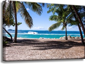 Vászonkép Természet Óceán pálmafák tengerpart 60x40 cm