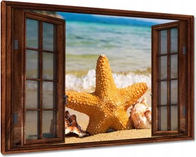 Képek 120x80 Tengeri csillag és kagylók