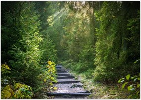 Poszterek 100x70 Tájkép