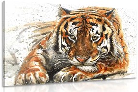 Kép tigris