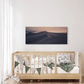Kép - Homokdűnék (120x50 cm)