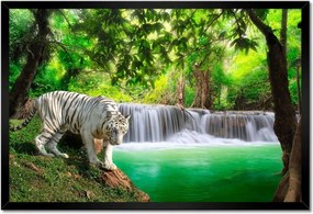 Poszterek keretben 60x40 Tigris a vízesésnél