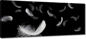 Vászonkép 100x40 Hulló fehér tollak