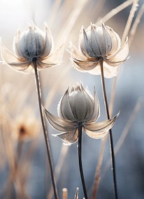 Poszter 13x18cm KöltĆi Ćsz