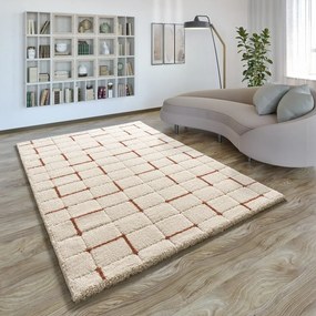 Téglavörös-krémszínű szőnyeg 160x230 cm Brenda – Universal