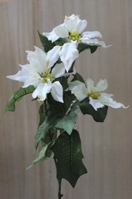 Fehér mikulásvirág csokor 68cm