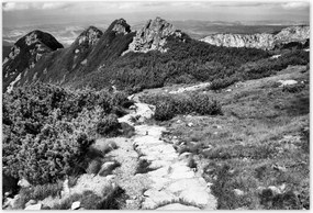 Poszterek 155x105 Tátra Lengyel hegyek Kilátás