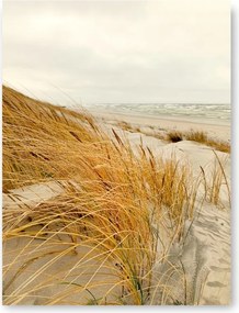 Tenger dűnék poszter kép B1 100x70cm #168