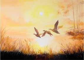 Kép - Daruk naplementekor (üvegen) (70x50 cm)